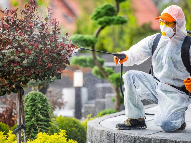 Emirdağ Haşere İlaçlama